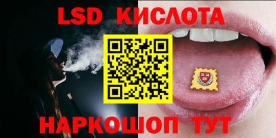 прущие грибы Новозыбков