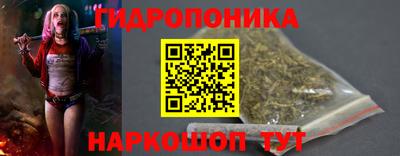 прущие грибы Новозыбков