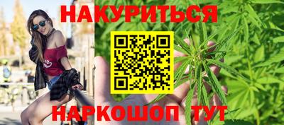 прущие грибы Новозыбков