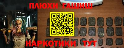 прущие грибы Новозыбков