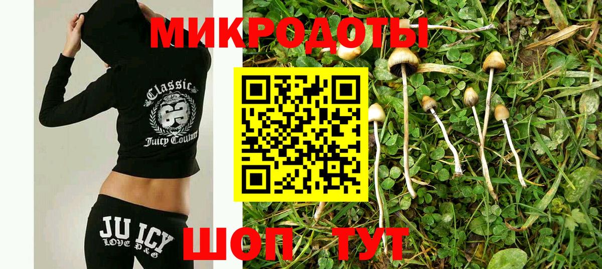 Галлюциногенные грибы мухоморы  закладки  Сосновоборск  Вход с VPN 